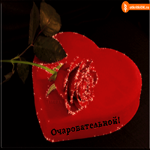 Очаровательной даме