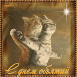 С международным Днём объятий! Смешные коты
