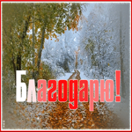 Открытка благодарю. Гармонии и света