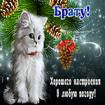 Открытка брату, хорошего настроения в любую погоду