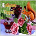 Открытка доброе утро с белочкой. Теплых слов