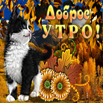 Открытка доброе утро с котиком. Счастья вокруг