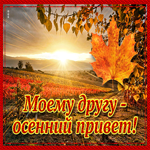 Открытка дорогому другу от всей души. Радости в каждом мгновении