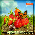Хорошего лета. Радости и тепла каждый миг