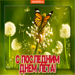Последний день лета. Улыбок и тепла рядом повсюду