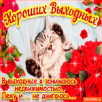 Пожелания хороших выходных. Света и гармонии каждый день