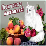 Открытка прекрасного настроения. Добрых минут