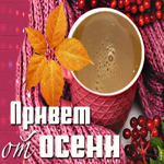 Открытка привет от осени. Радости и улыбок