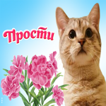 Открытка прости, хочу помириться. Добрых словечек каждый день