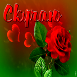 Открытка с красной розой и сердечками Скучаю
