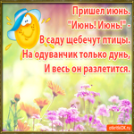 С наступлением лета. Радости и уюта