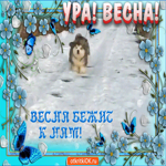 С Первым Днём Весны. Добрых людей и светлых встреч