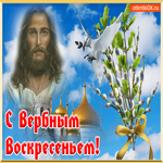 С Вербным Воскресеньем. Света и уюта в каждом шаге