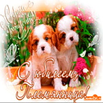 С юбилеем племяннице. Радости и гармонии