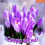 Скоро Весна. Счастья и покоя вокруг всегда