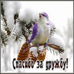 Открытка спасибо за дружбу. Радости в мелочах