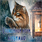 Открытка спокойной ночи, любимая. Радости каждое утро