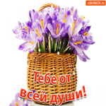 Тебе от всей души. Добрых встреч и чудес