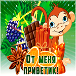 Открытка теплый привет. Улыбок и счастья каждый день