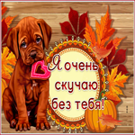 Открытка я очень скучаю без тебя. Тепла души и сердца
