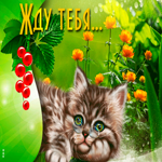 Открытка жду с котиком. Добрых моментов жизни