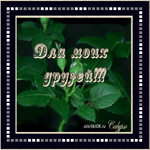 Плейкаст для друзей с розой