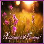 Потрясающая, сверкающая открытка хорошего вечера