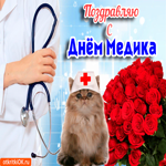 С днём медика. Добрых дней