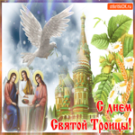 С Троицей. Света и счастья рядом каждый день