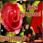 Поздравление с днём рождения подруге! Открытка с розой