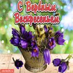 Поздравление С Вербным Воскресеньем. Радости и покоя в душе всегда