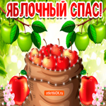 Яблочный спас. Радости и вдохновения