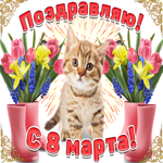 Поздравляю с 8 марта. Света и любви каждый день