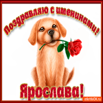 Поздравляю С Днём имени Ярослава