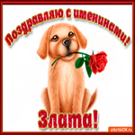 Поздравляю С Днём имени Злата