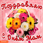 Поздравляю с днём мам. Улыбок и тепла всегда рядом