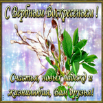 Пожелания С Вербным Воскресеньем. Счастья и покоя в душе повсюду