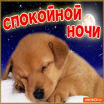 Пожелания спокойной ночи. Радости и уюта
