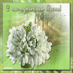 Праздник первого дня весны