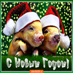 Праздник пусть несёт веселье