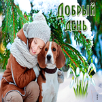 Прекрасная открытка добрый день. Счастья и веры