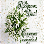 Прекрасного дня и солнечного настроения