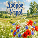 Прекрасного летнего утречка