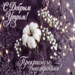 Прекрасного настроения этим утром