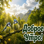 Прекрасного утра! Пусть пение птиц порадует