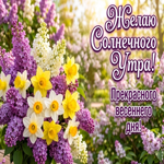 Прекрасного весеннего дня, улыбок и радости