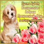 Прекрасного воскресенья. Радости и вдохновения вокруг
