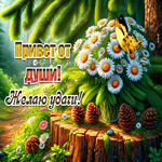 Привет от души! Желаю удачи