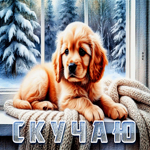 Приятная, милая гифка Скучаю