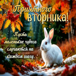 Приятного вторника! Пусть маленькие чудеса случаются на каждом шагу